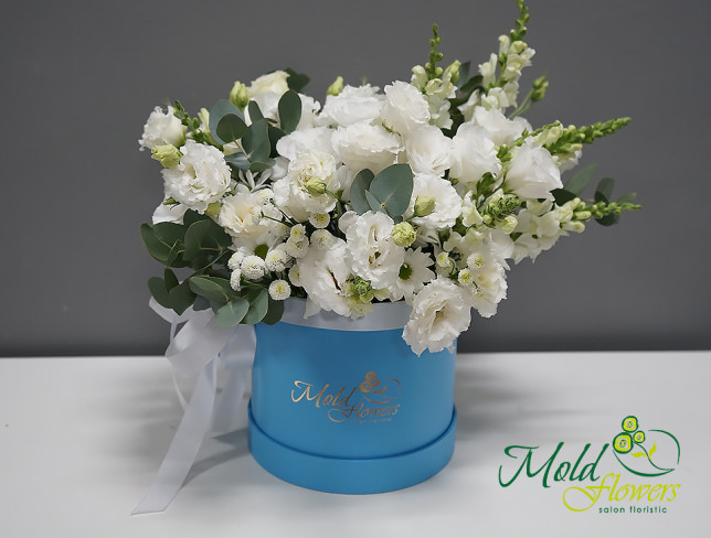 Blue Box with White Flowers, ''Azure Coast'' photo